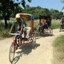 灼熱のルンビニ園の中をリキシャで快走！私たちは風邪を受けて涼しいがリキシャの運転手は地獄ですね。