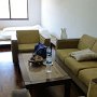 簡易畳のひかれた和室は１２畳くらいありました。