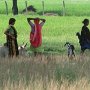 はるか遠くインドのガンジス平原まで続いているような田園地帯です。クダンはインド国境から４ｋｍくらいかも。ルンビニはインド国境から２ｋｍくらいでしょうか。